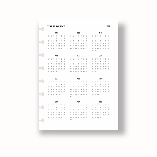 Vellum Year at a Glance Dashboard | 2025