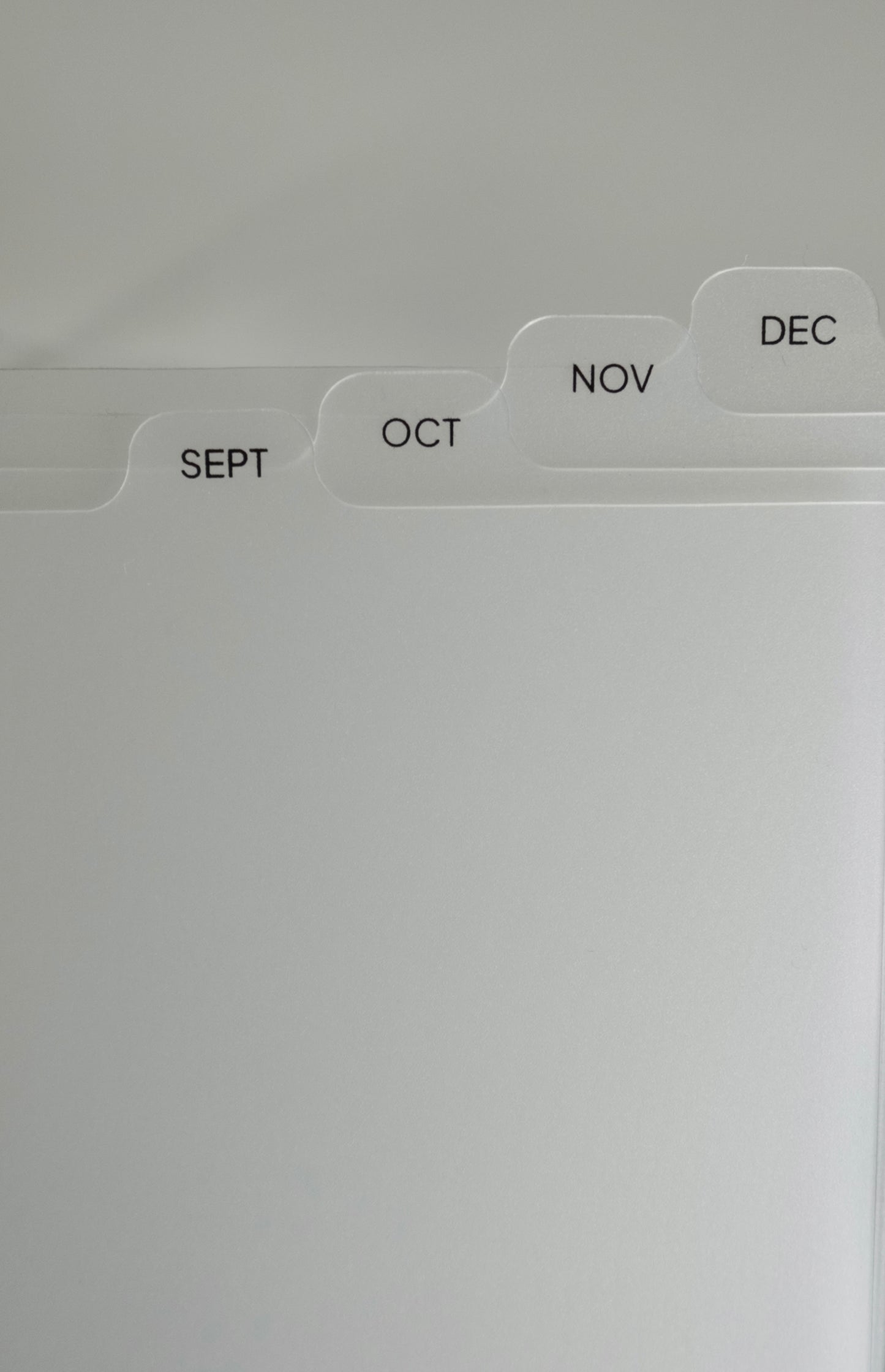 Frosted Monthly Divider Tabs (Oops) - LeBeau Paper Co