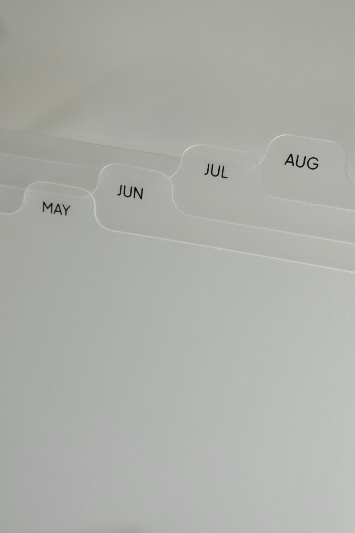 Frosted Monthly Divider Tabs (Oops) - LeBeau Paper Co