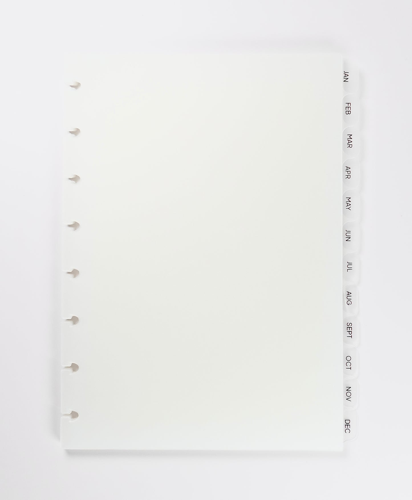 Sample Sale | Frosted Monthly Divider Tabs